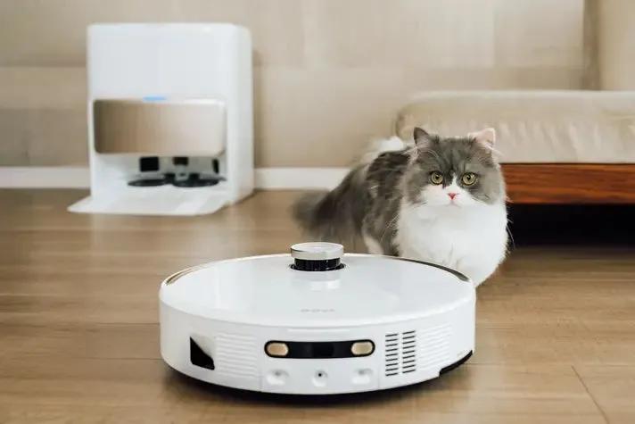 ロボット掃除機と猫が写っている写真です。
